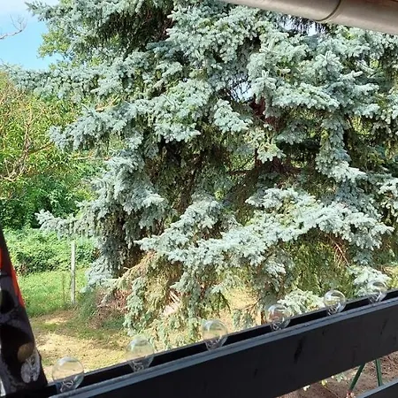 Kikoeto Vendeghaz Διαμέρισμα